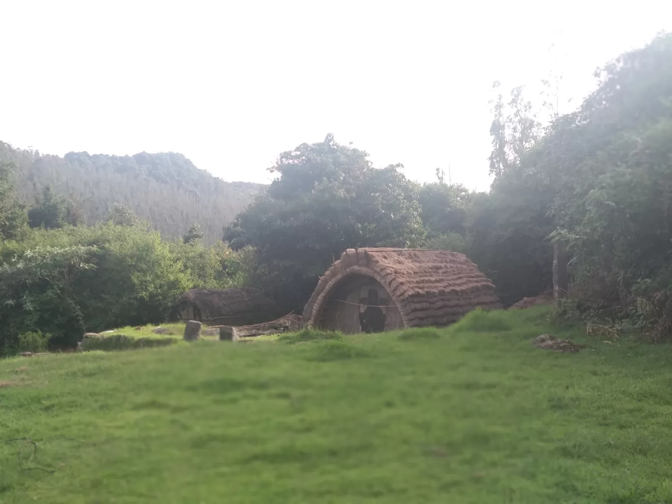 Photo of Ooty By Kanika Mittal