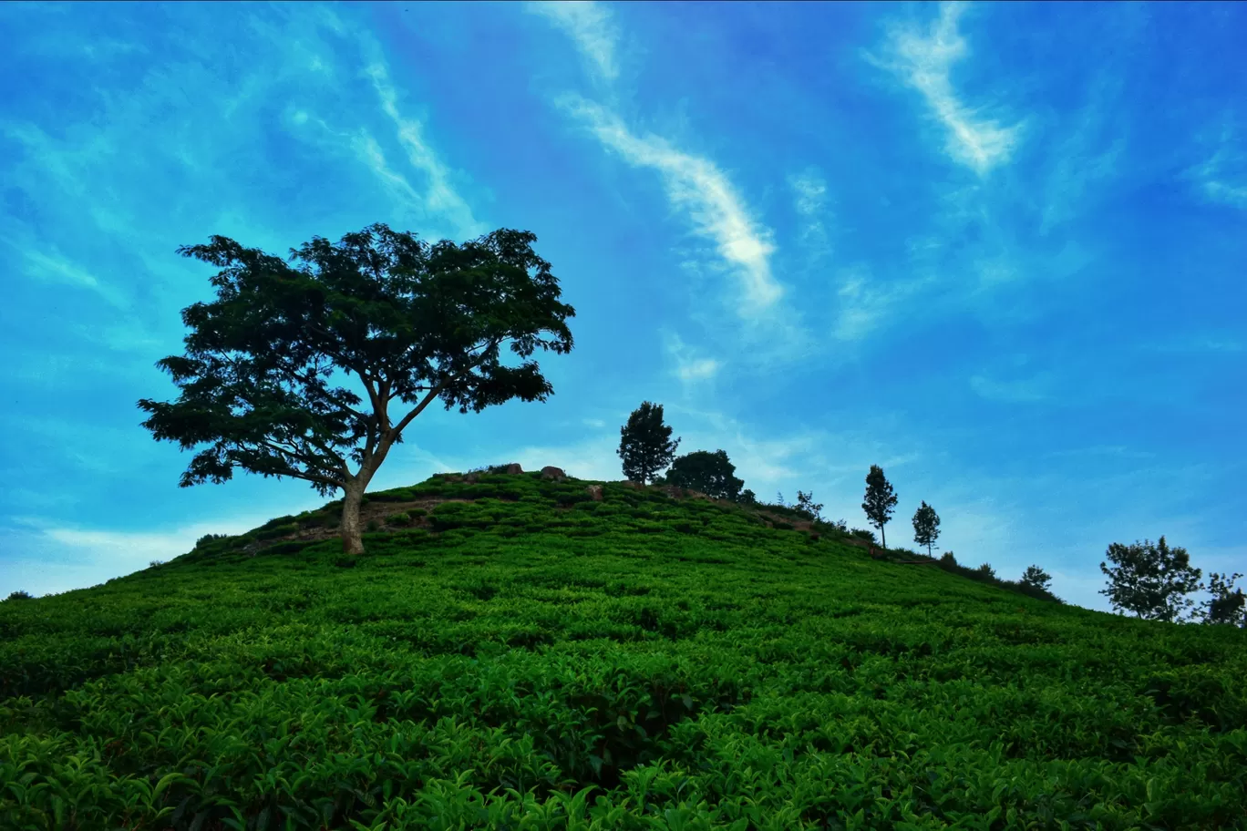 Photo of Ooty By Sharanesh Raman