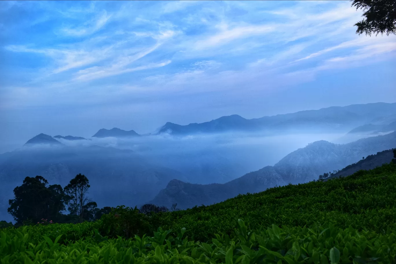 Photo of Ooty By Sharanesh Raman