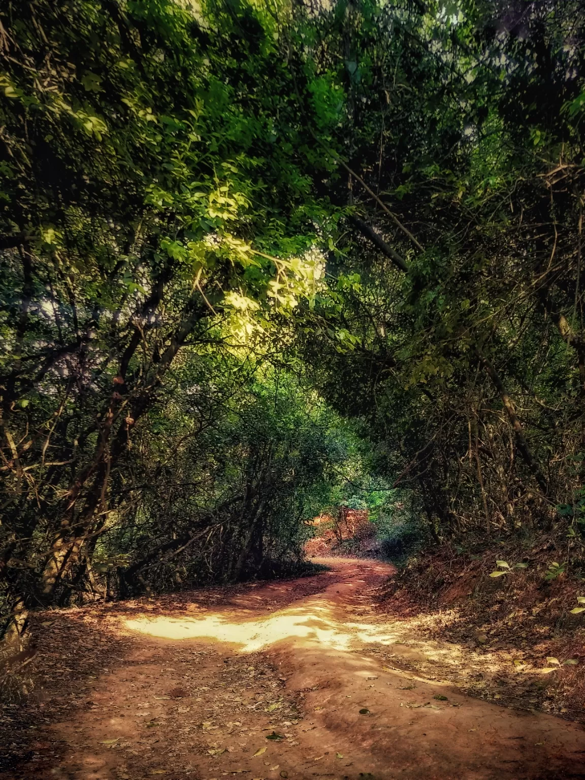 Photo of Ooty By Sharanesh Raman