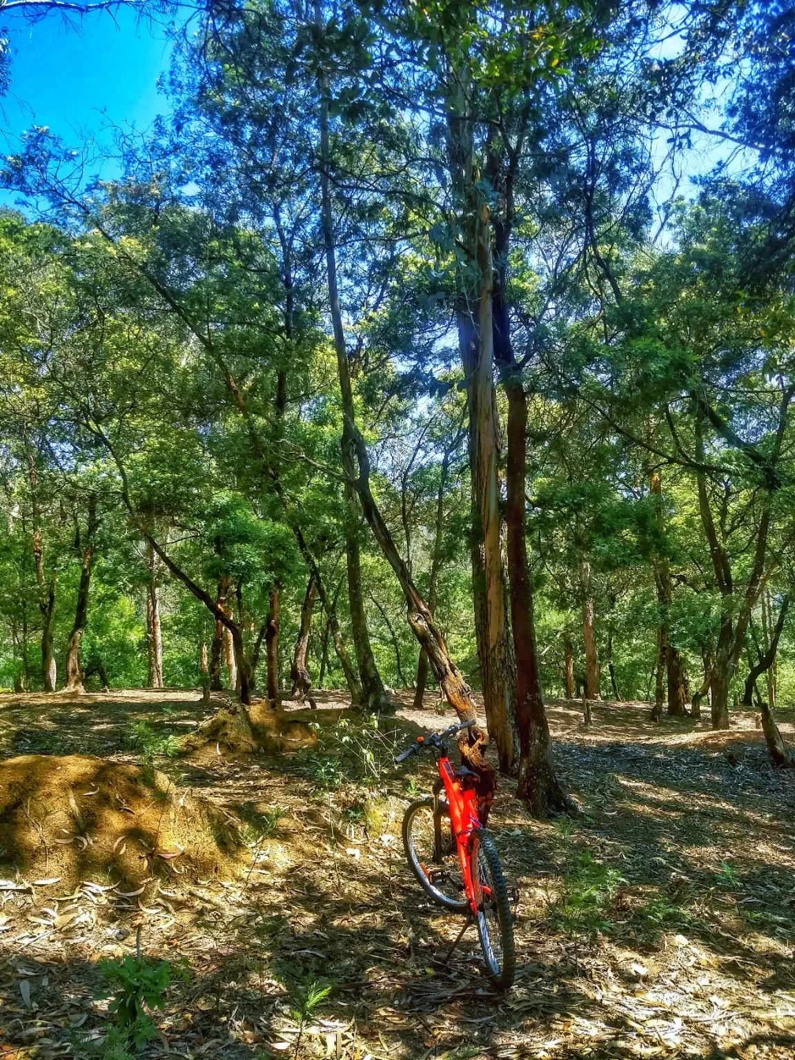 Photo of Ooty By Sharanesh Raman