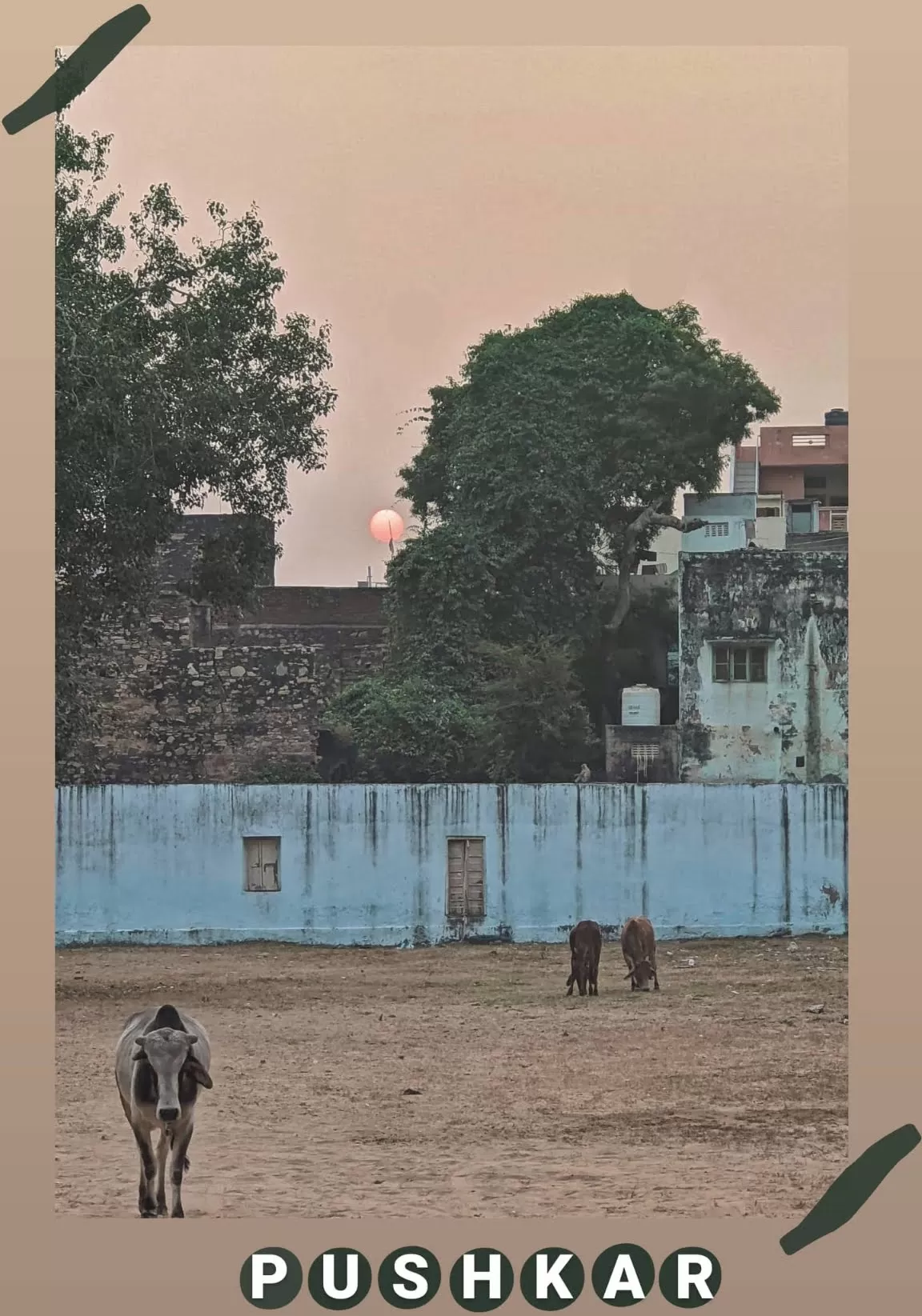 Photo of Pushkar By Prakriti Arora