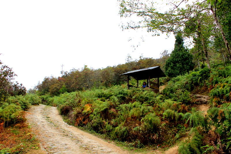 Photo of Back packing to North Bengal (Ichhe Gaon-Ramdhura, Kalimpong-Darjeeling) By Suchandan Ghosh