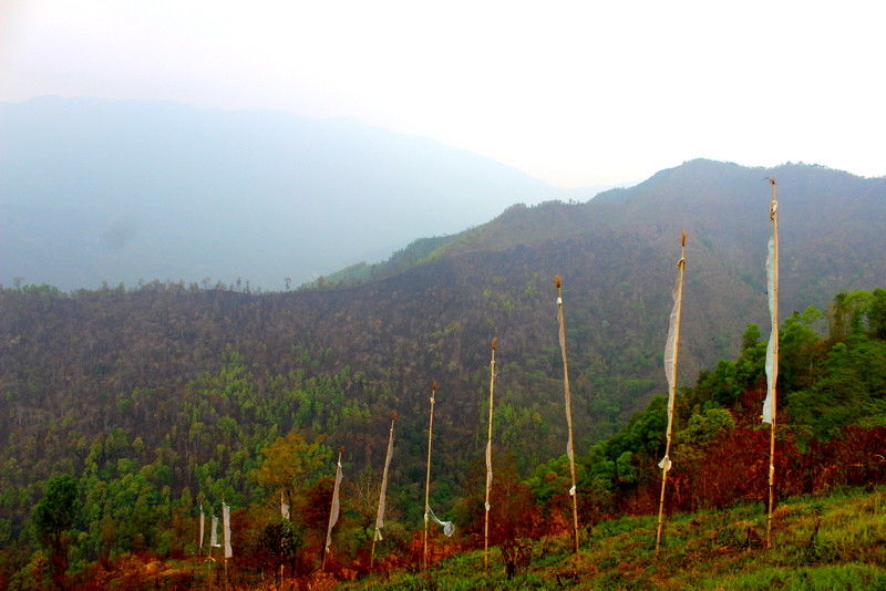 Photo of Back packing to North Bengal (Ichhe Gaon-Ramdhura, Kalimpong-Darjeeling) By Suchandan Ghosh