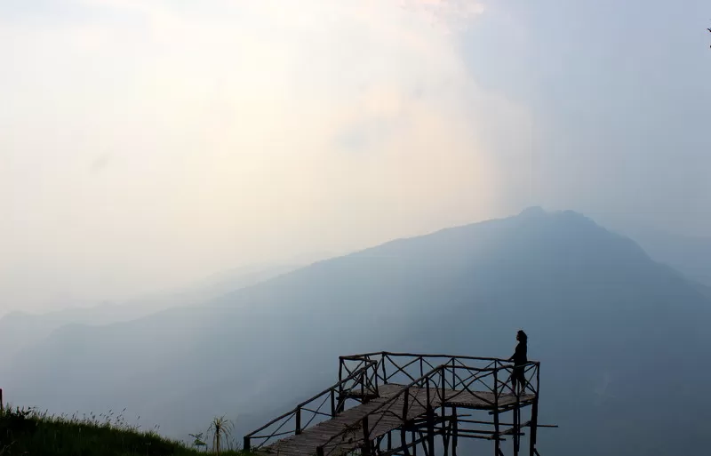 Photo of Mangarjun By Suchandan Ghosh