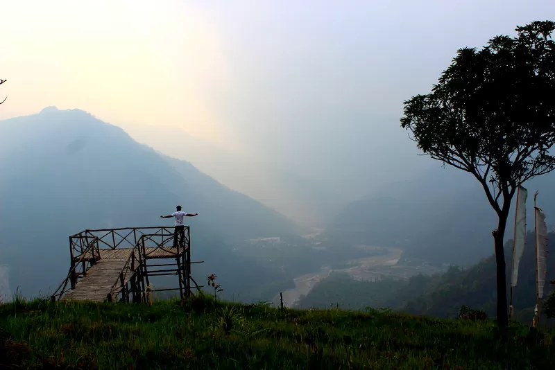 Photo of Mangarjun By Suchandan Ghosh