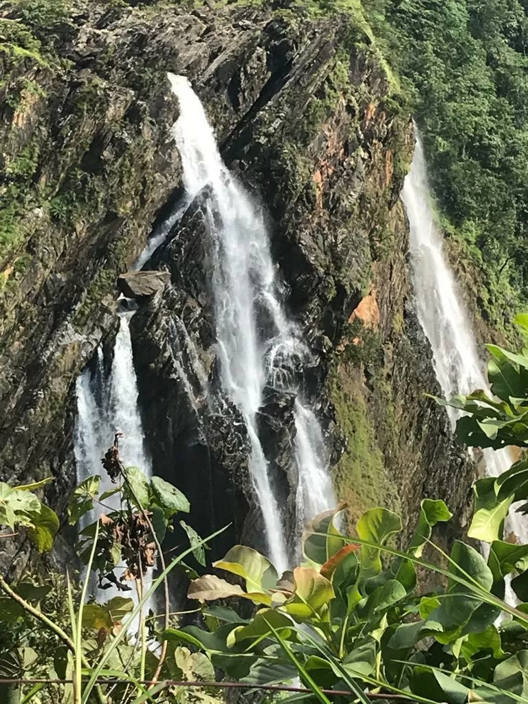 Photo of Jog Falls By Sumukh Herlekar