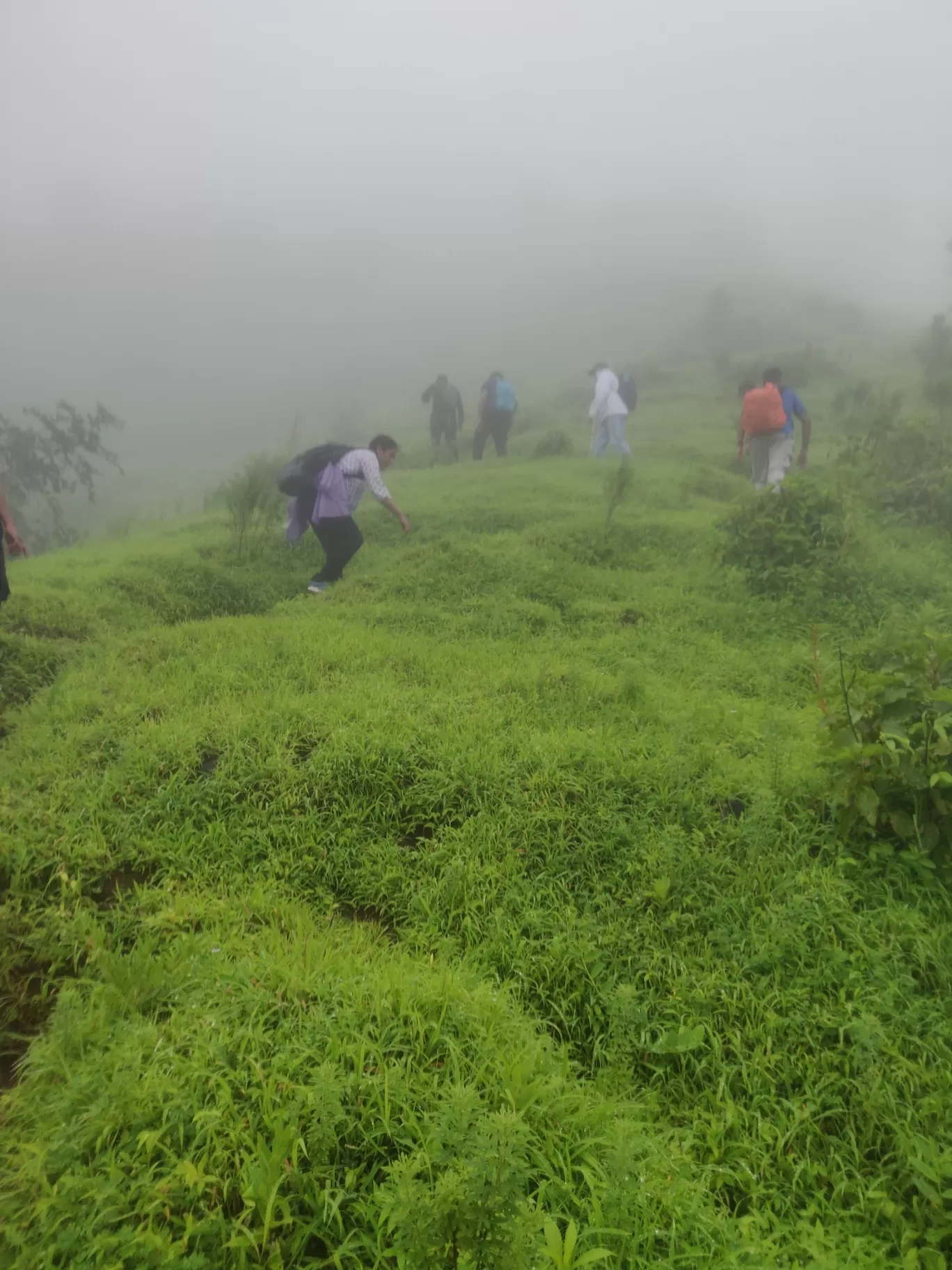 Photo of Garbett Plateau By Vinay Kasare
