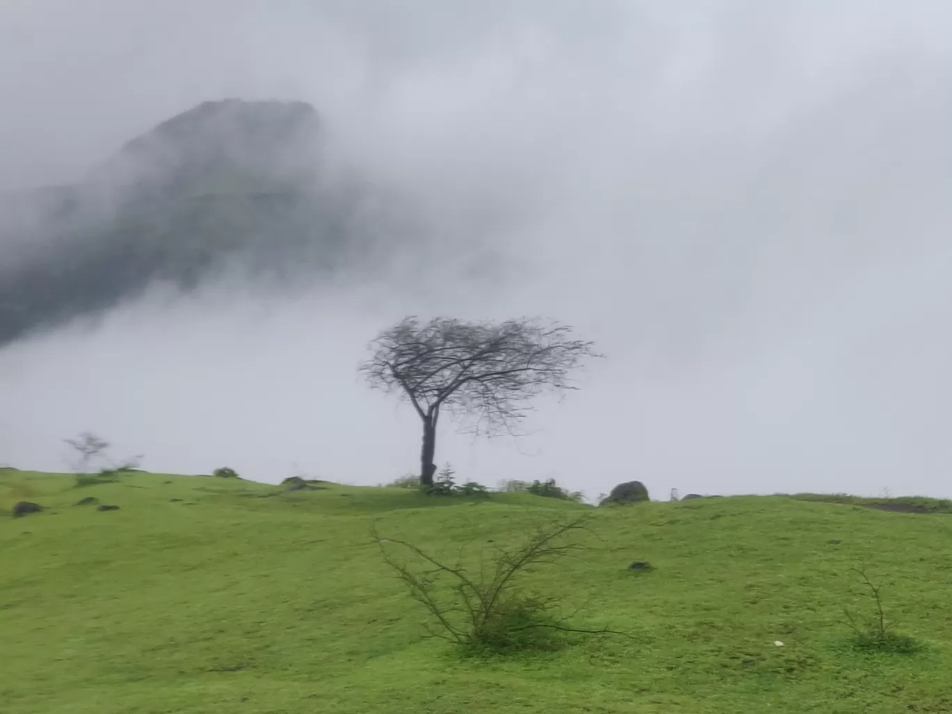 Photo of Garbett Plateau By Vinay Kasare