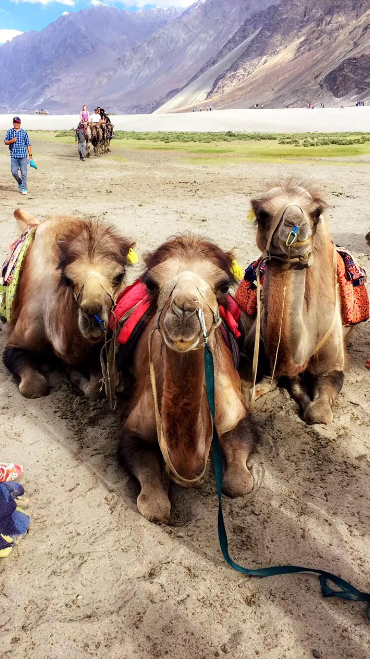 Photo of India By Pranjal Surana