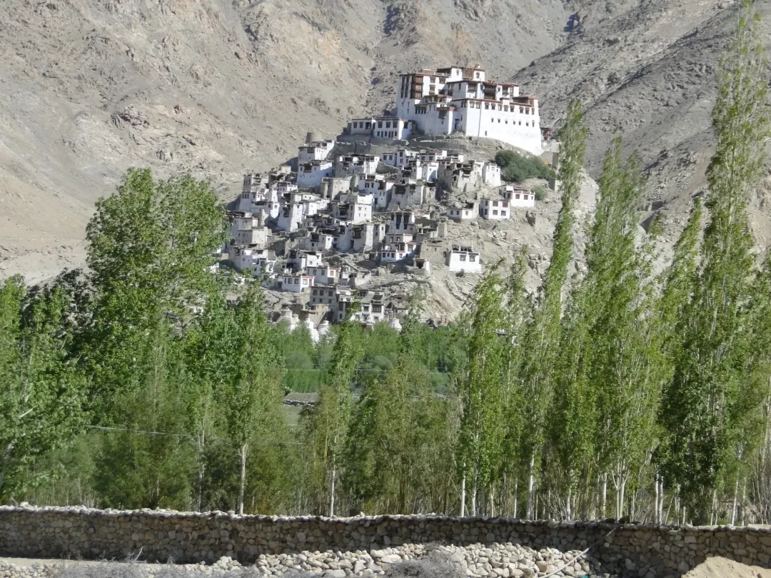 Photo of Nubra Valley By Mints the Musafir