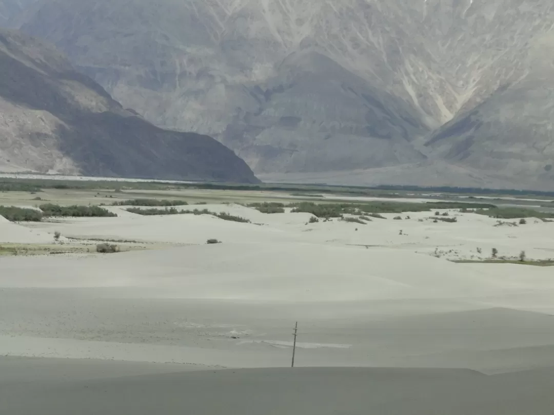 Photo of Nubra Valley By Mints the Musafir