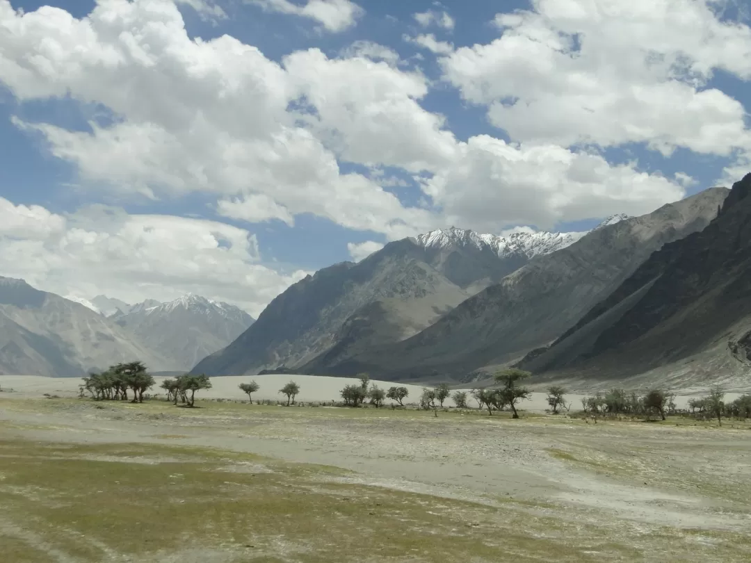 Photo of Nubra Valley By Mints the Musafir