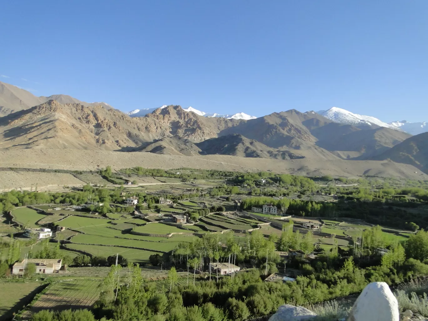 Photo of Leh By Mints the Musafir