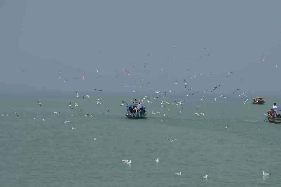 Photo of Chilika Lake By Archana Tripathy