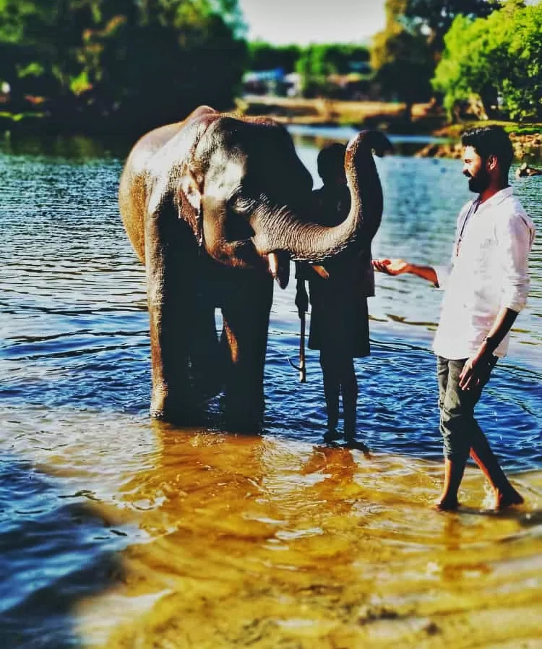Photo of Dubare Elephant Camp By Ekatha George Elizabeth