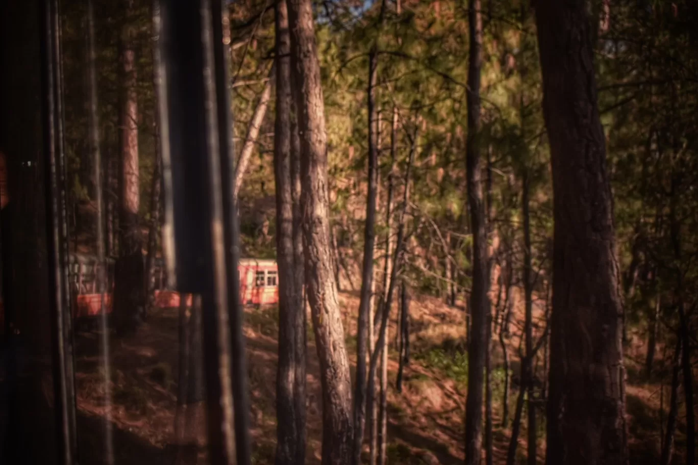 Photo of Shimla By Somya Rakshit