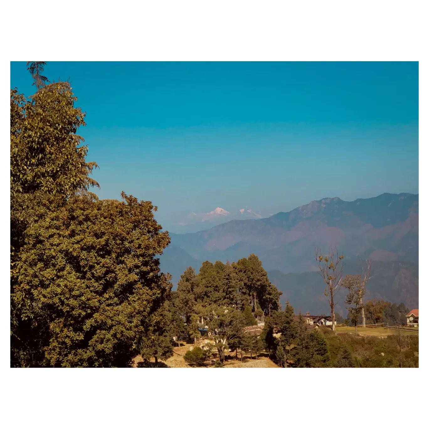 Photo of India By Somya Rakshit