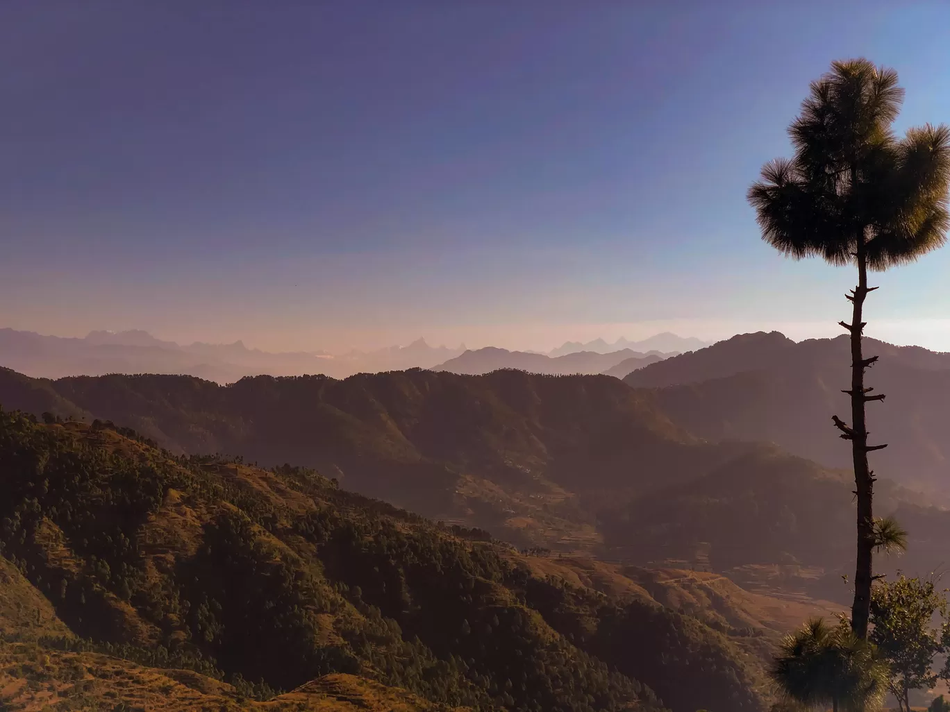 Photo of India By Somya Rakshit