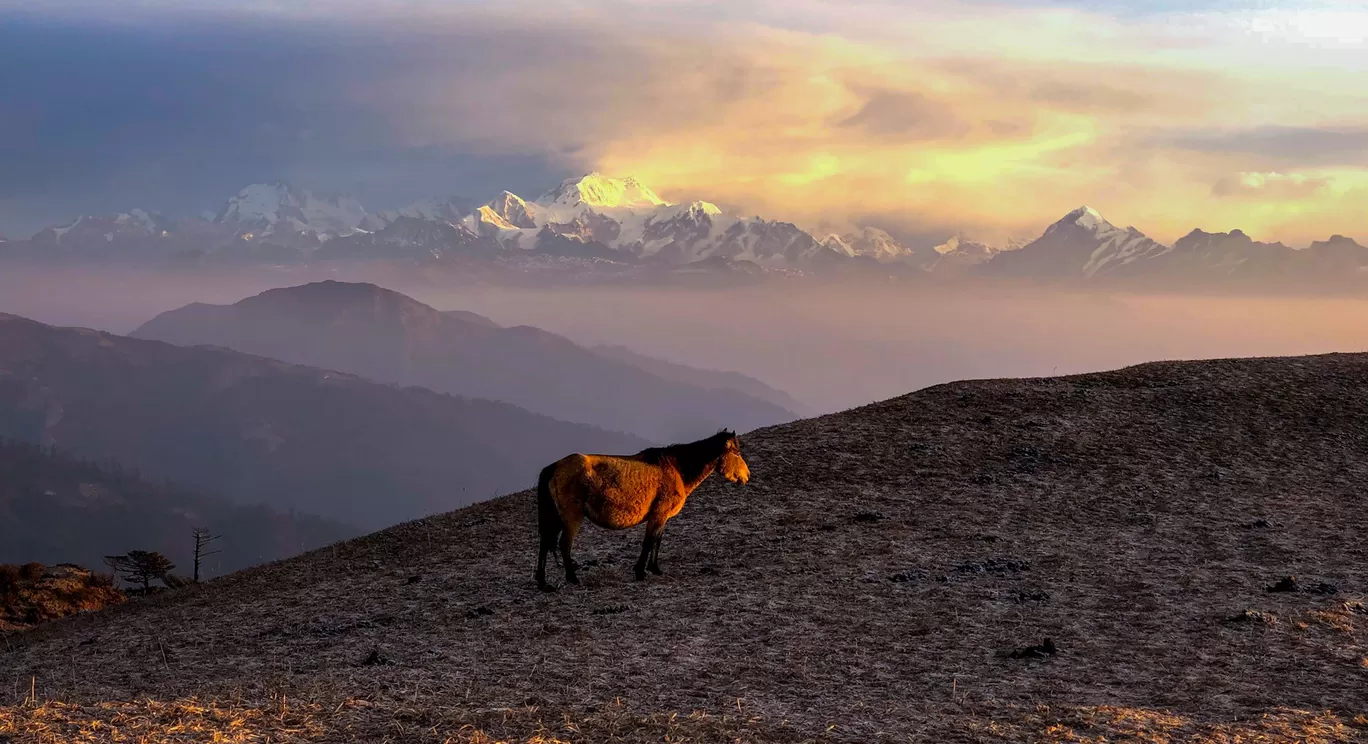 Photo of India By Somya Rakshit