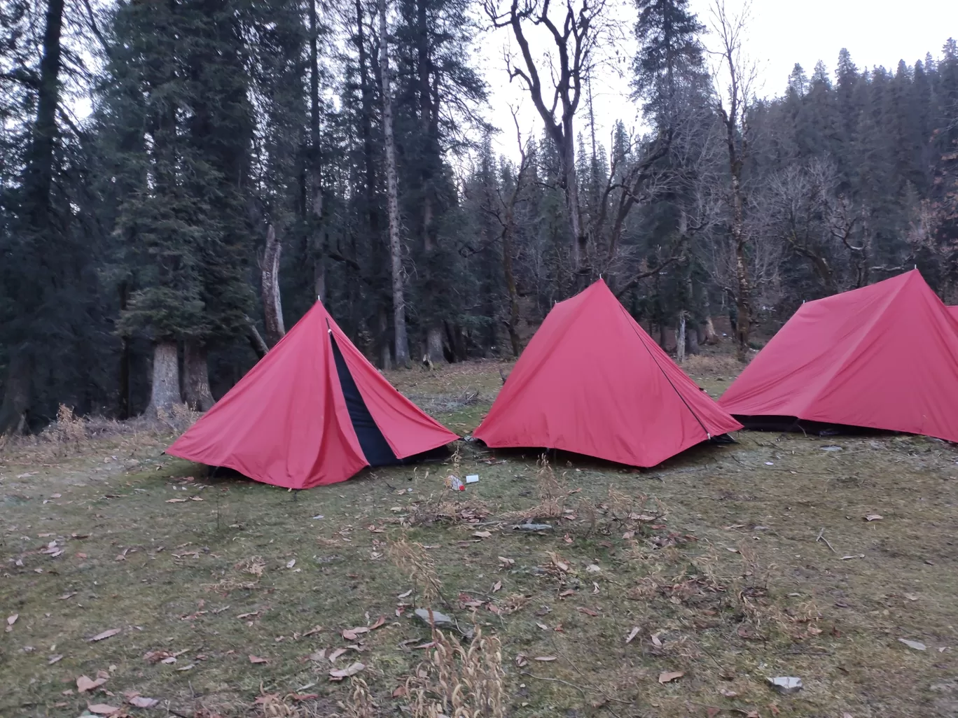 Photo of Kedarkantha Trek By Prathap Deva