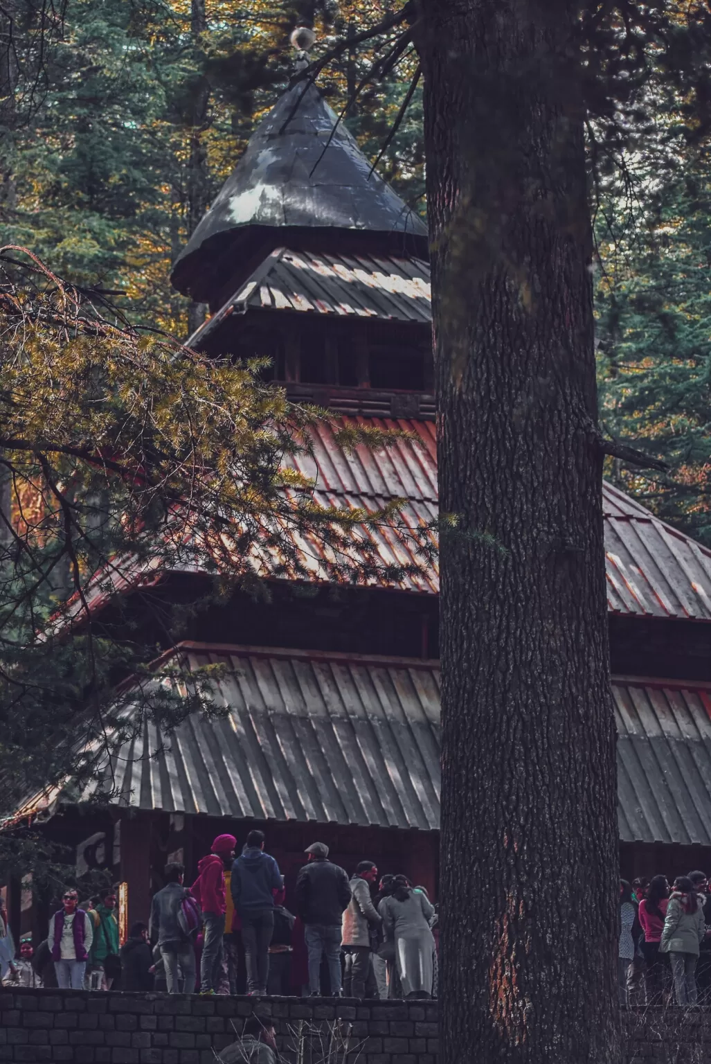 Photo of Hidimba Devi Temple By Rachit Sharma