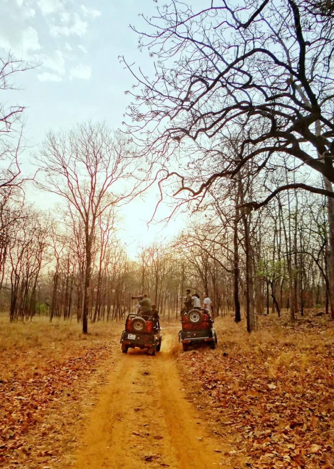 Photo of Satpura National Park By Saumy Nagayach