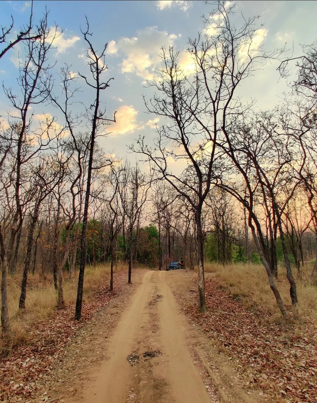 Photo of Satpura National Park By Saumy Nagayach