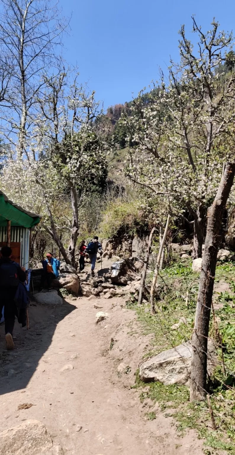 Photo of Kheerganga Trek By Lost Traveller