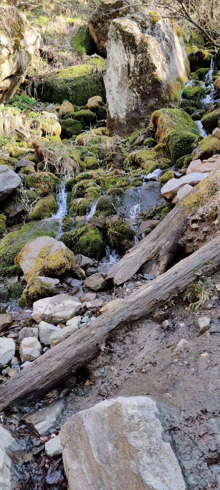 Photo of Kheerganga Trek By Lost Traveller