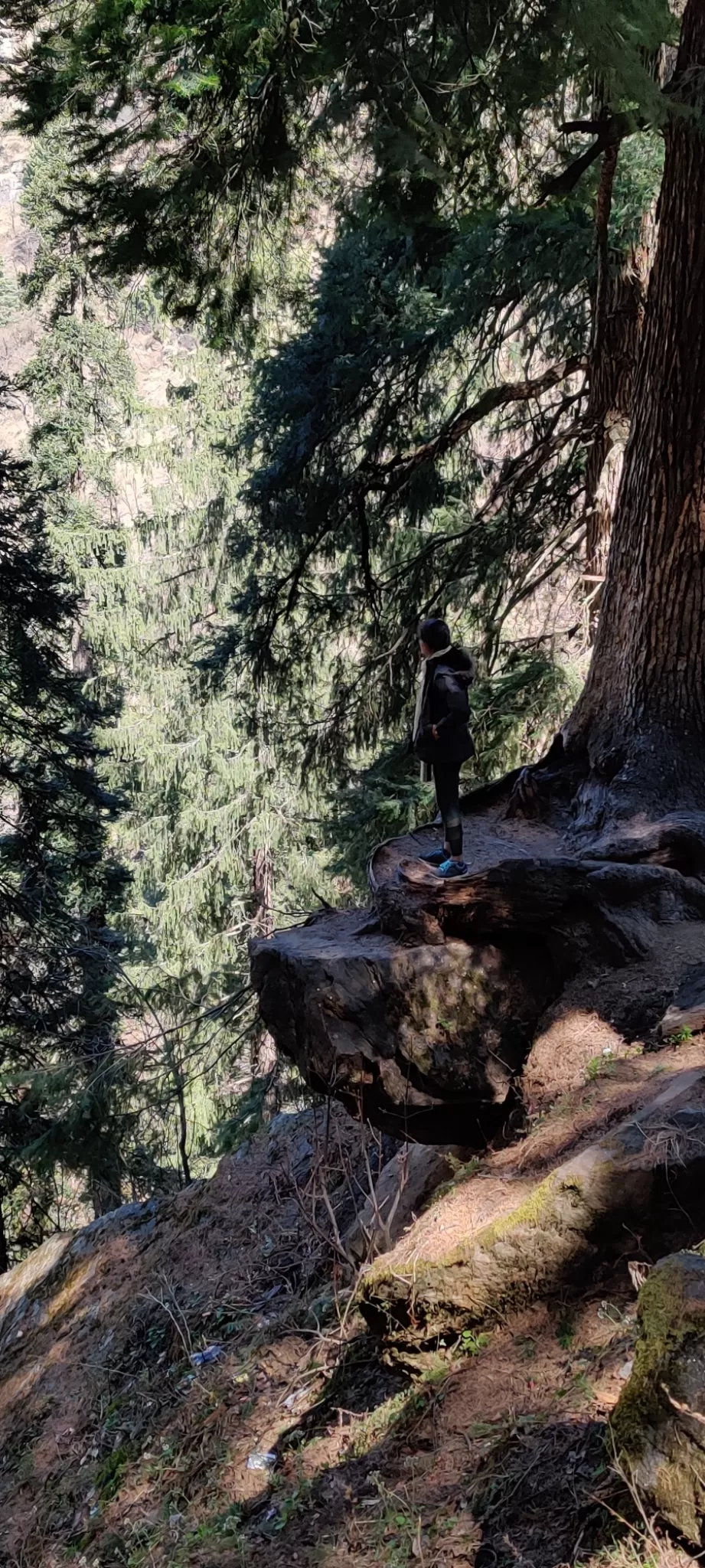 Photo of Kheerganga Trek By Lost Traveller