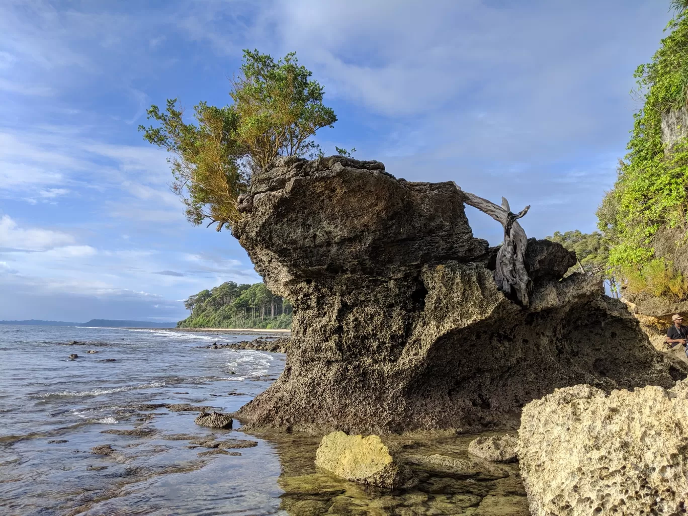 Photo of Andaman and Nicobar Islands By Mansi Bhandari