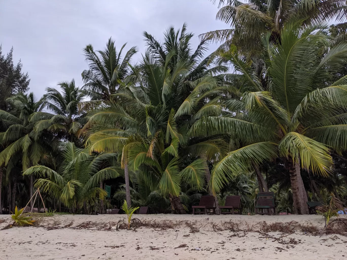 Photo of Andaman and Nicobar Islands By Mansi Bhandari