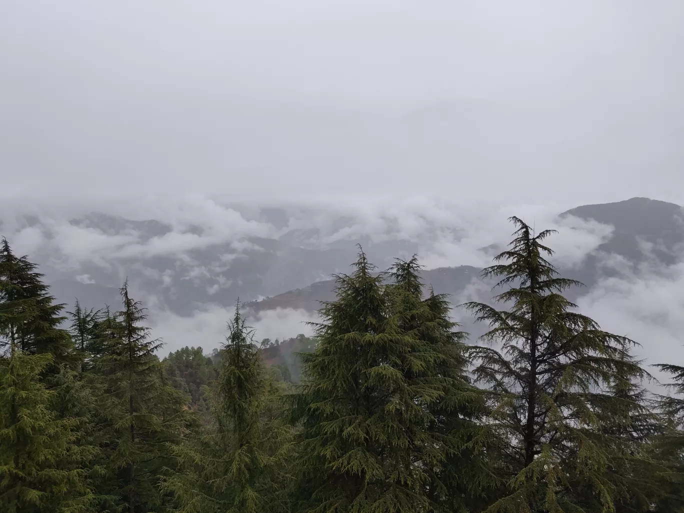 Photo of Mussoorie By Mayank Agrawal