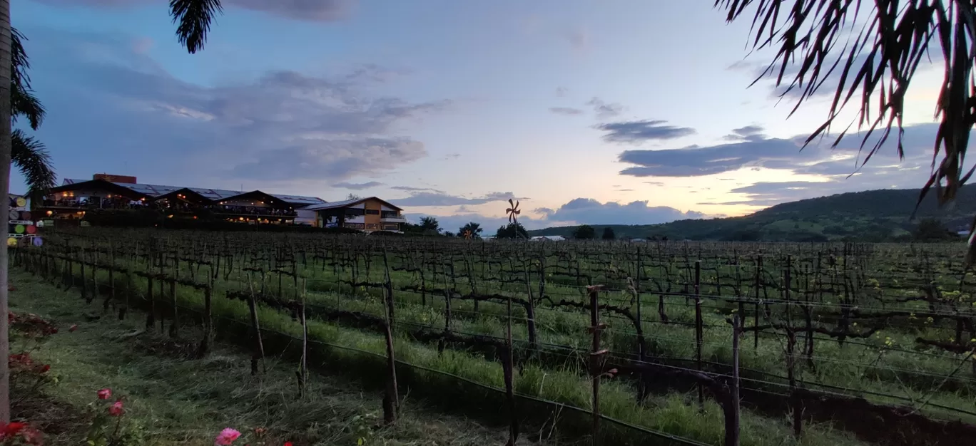 Photo of Sula Vineyards By Utpal Das