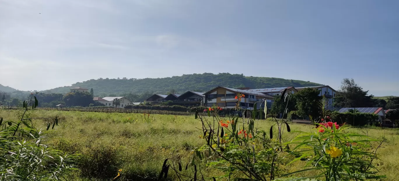 Photo of Sula Vineyards By Utpal Das