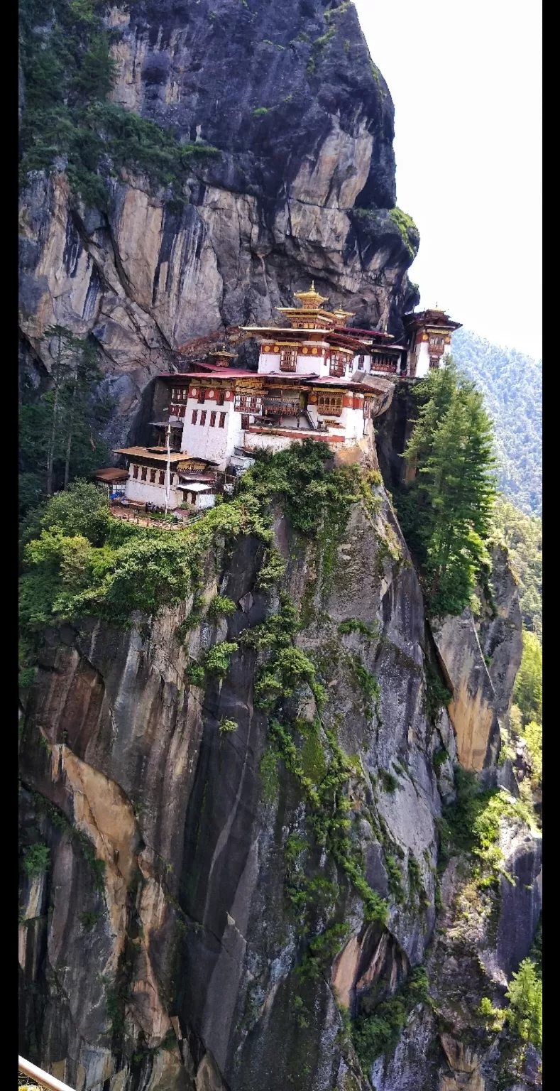 Photo of Paro By Mitali Gujarathi Shitut