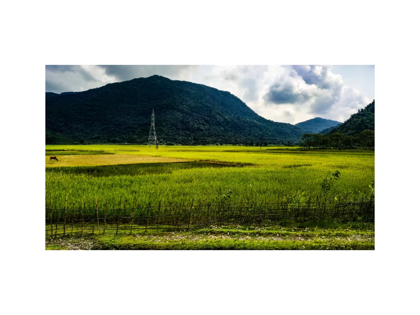 Photo of Bhalukpong By Abhisek Dash