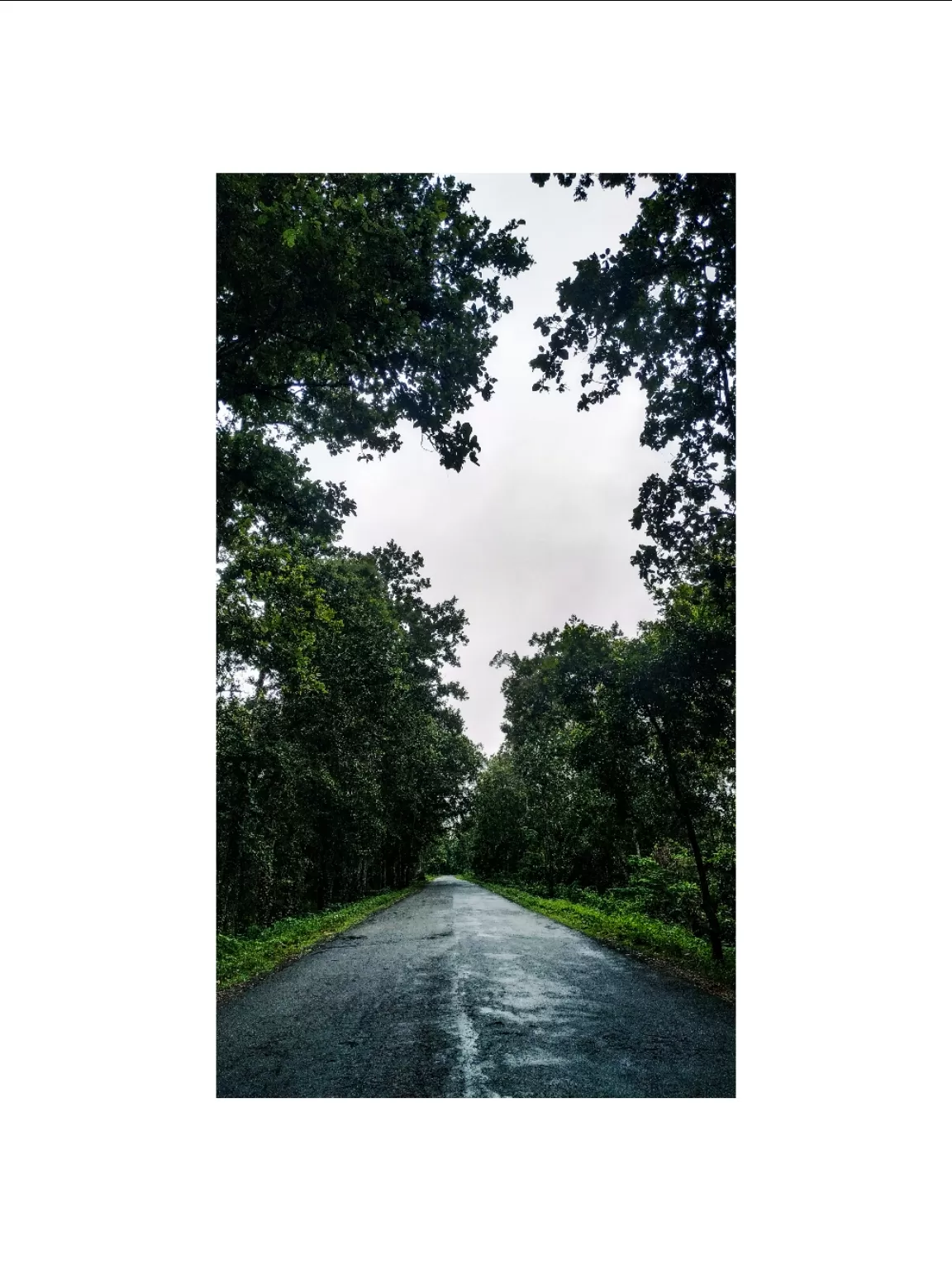 Photo of Bhalukpong By Abhisek Dash