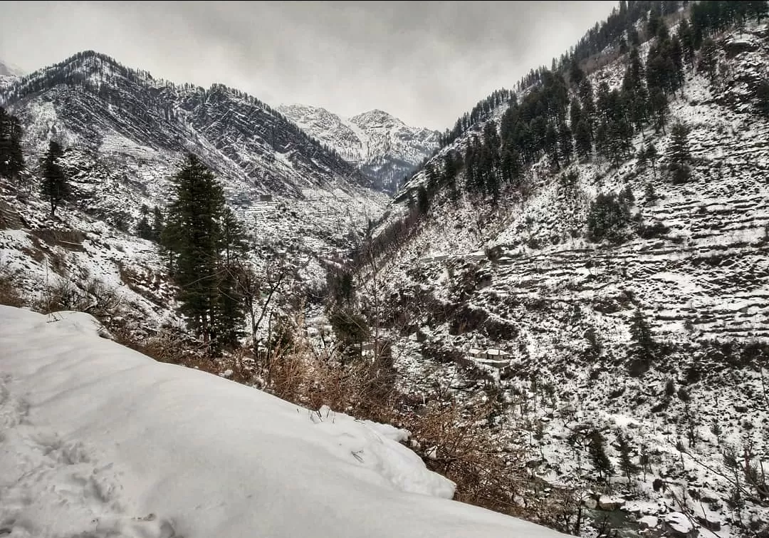 Photo of Tosh By Adib Shaikh