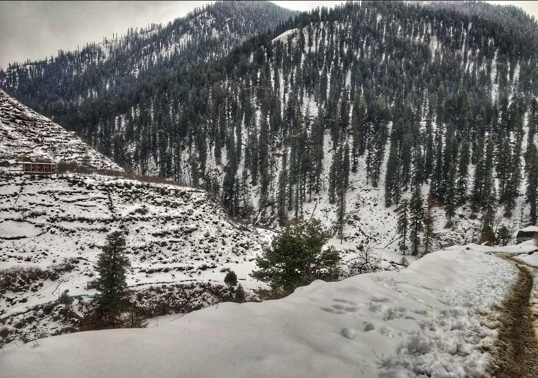 Photo of Tosh By Adib Shaikh