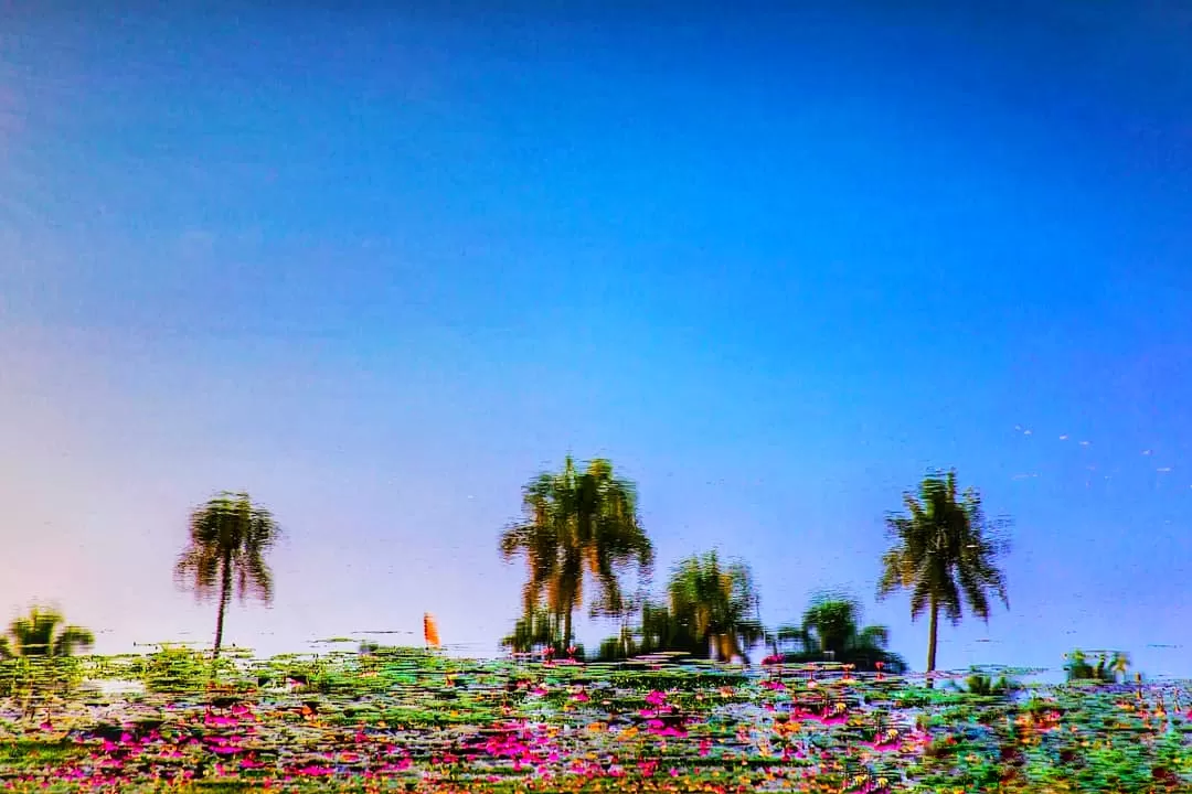 Photo of Kerala By Meenakshi Jain