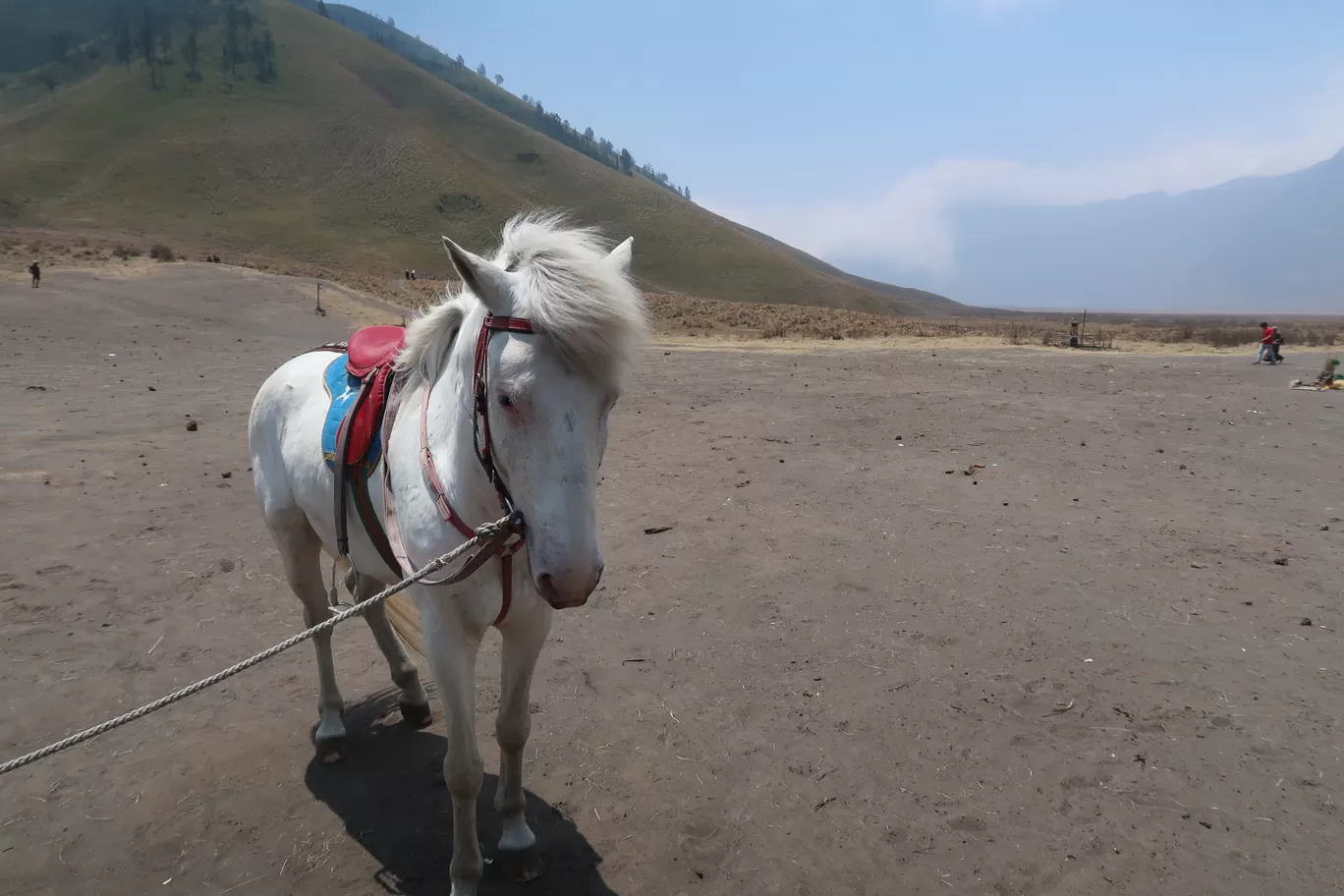Photo of Bromo Tengger Semeru National Park By Rishabh Dev