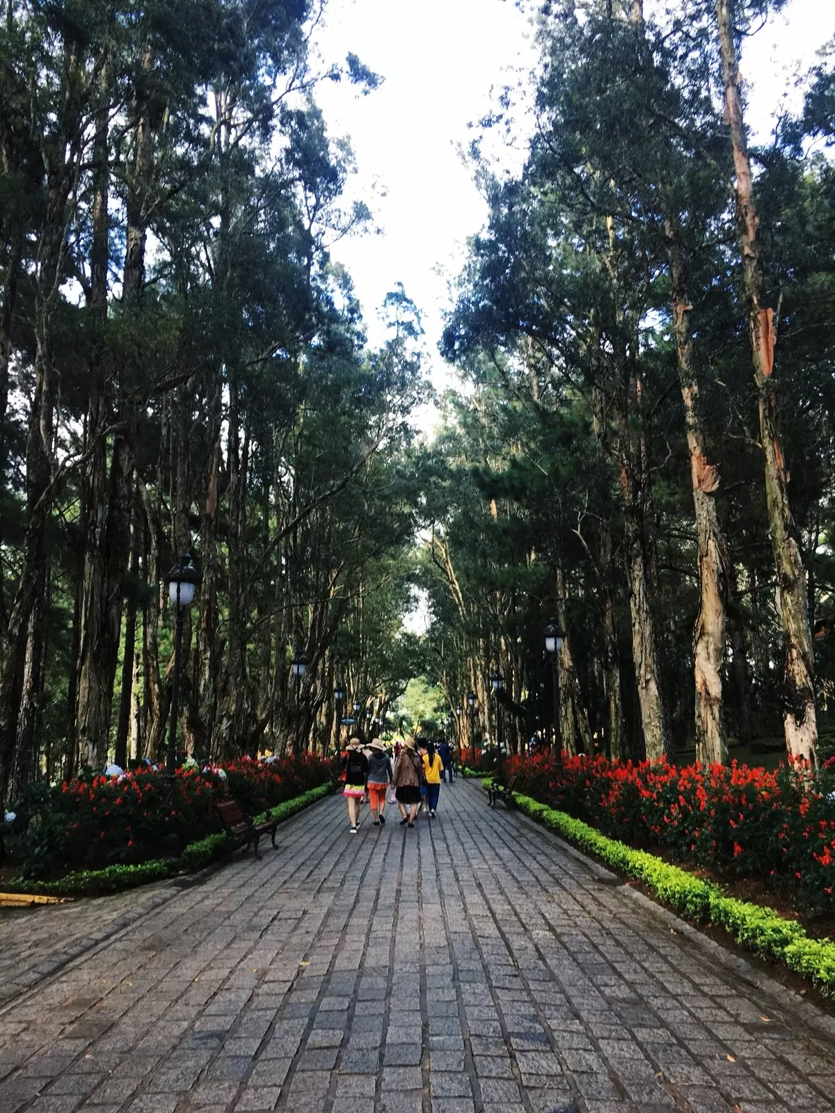 Photo of Dalat By Vaishali Rathore