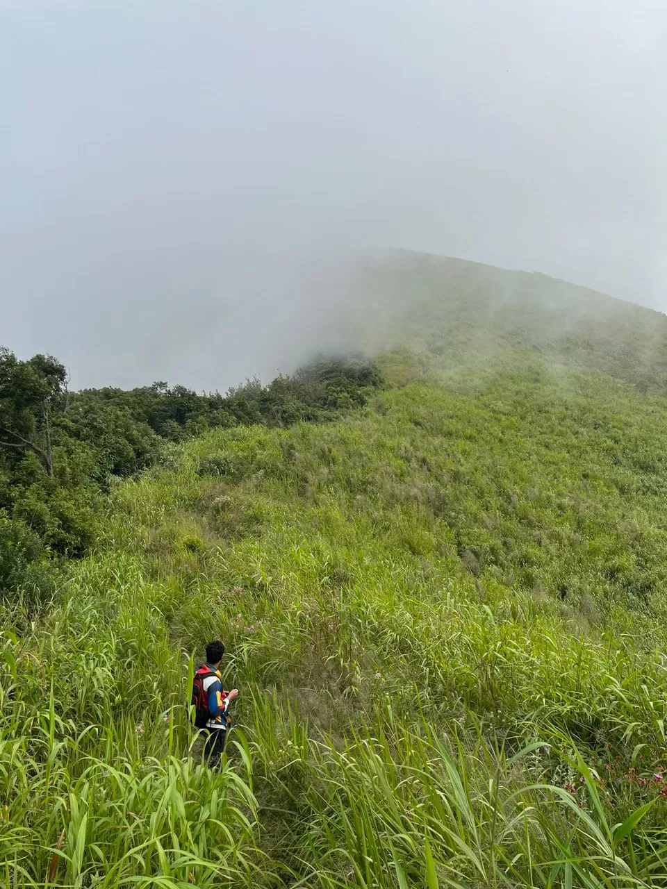 Photo of Mt Sielkal Peak (Tumjang) By Ruhel Bhuyan