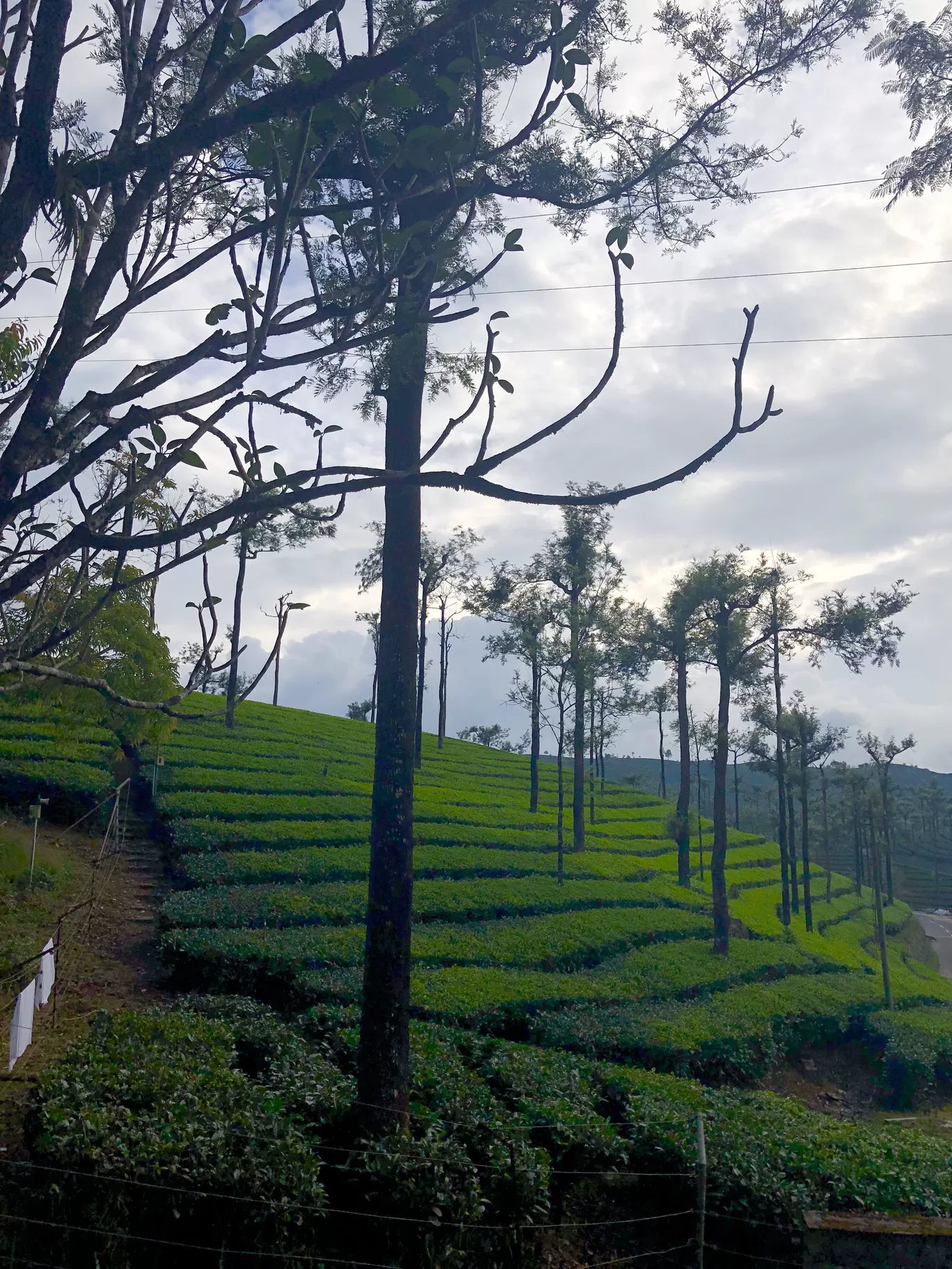 Photo of Valparai By Akshra Sharma