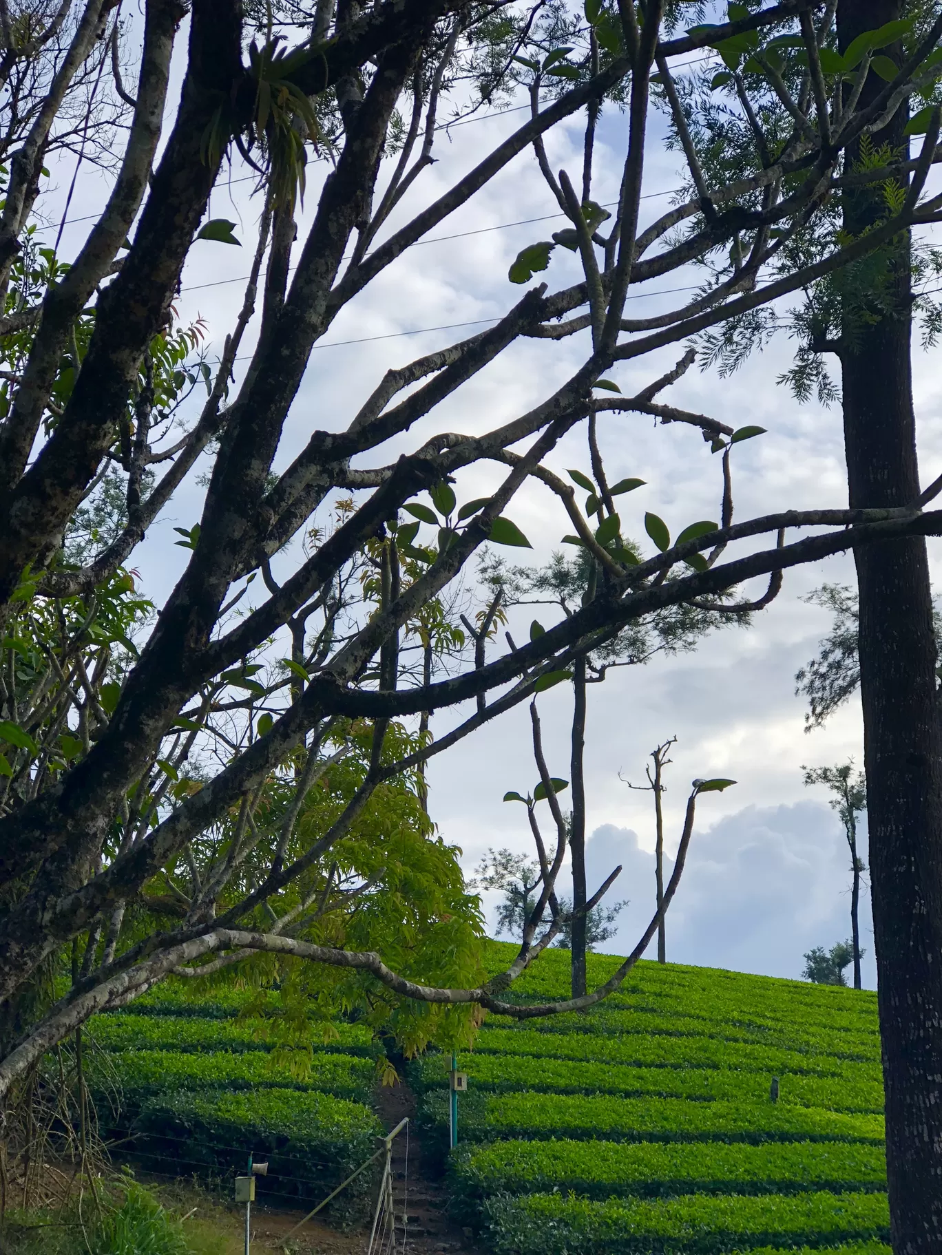 Photo of Valparai By Akshra Sharma