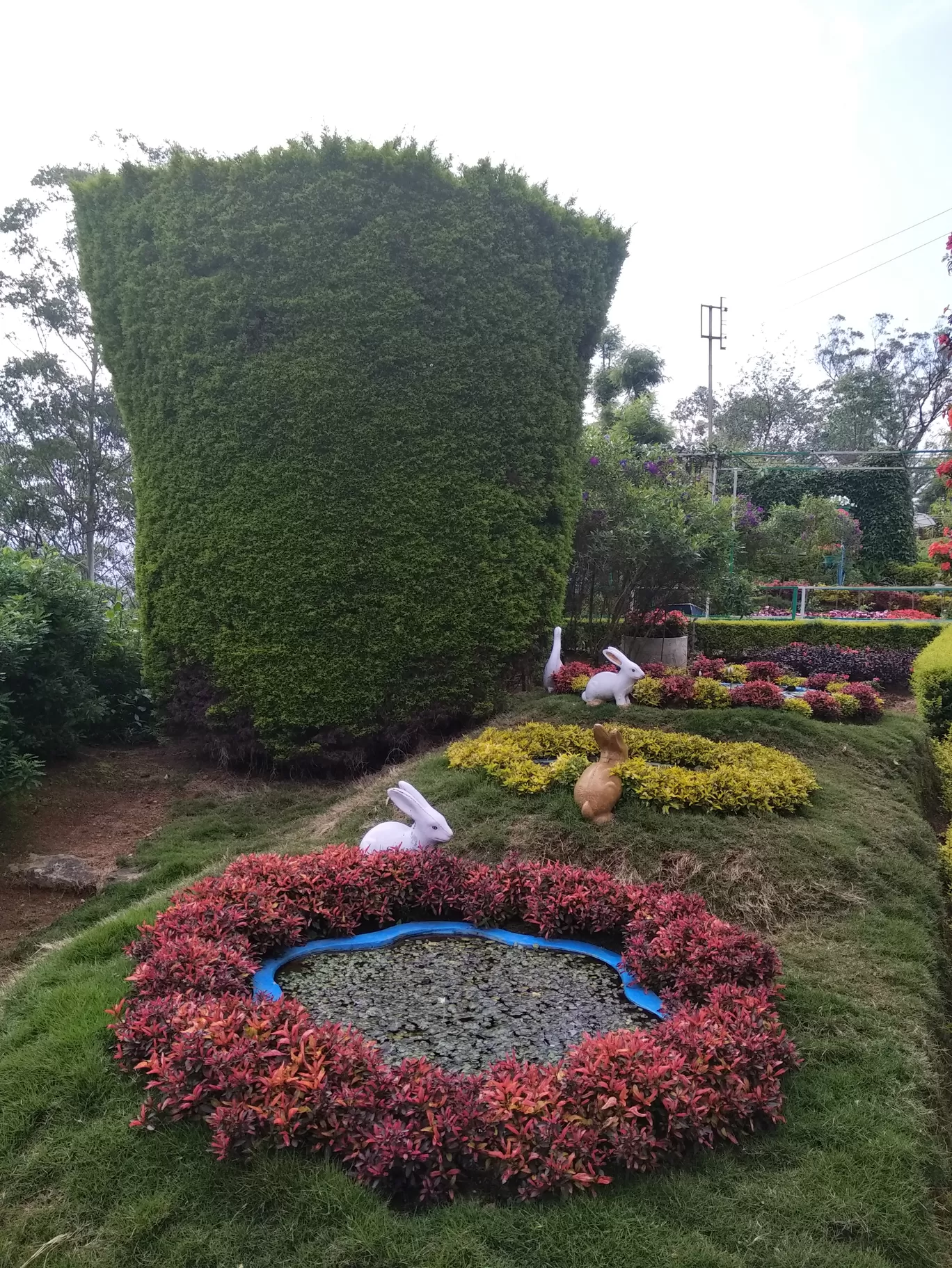 Photo of Rose Garden By Dr Neeraj Garg