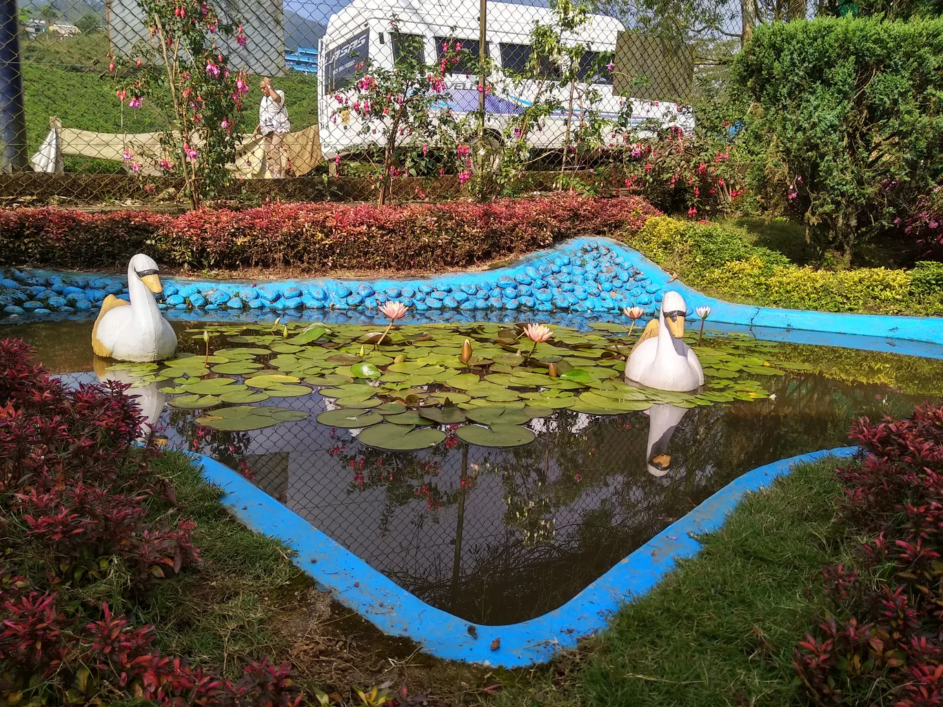 Photo of Rose Garden By Dr Neeraj Garg