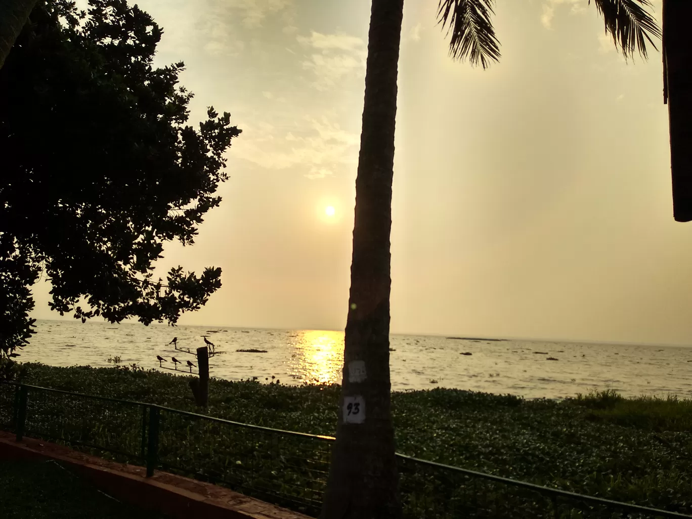 Photo of Kumarakom By Dr Neeraj Garg